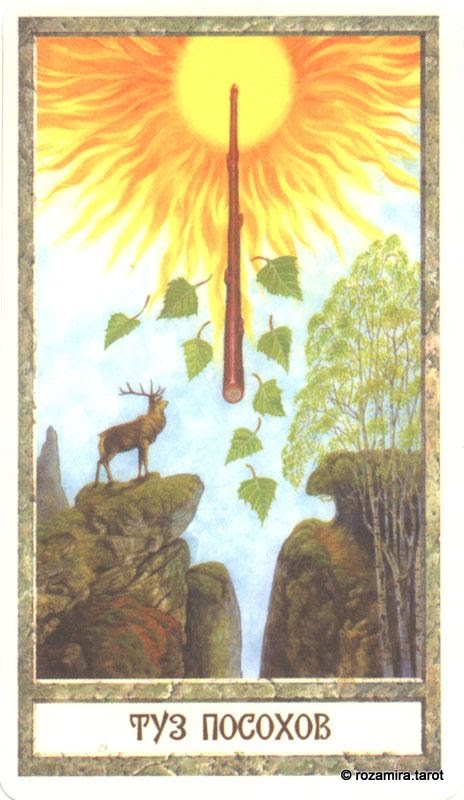 Таро Круг человеческих Судеб